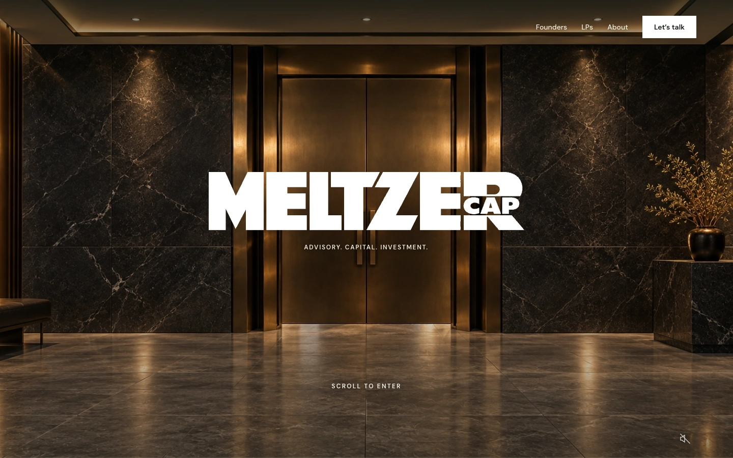 Meltzer Capital website